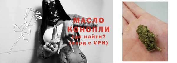 стафф Вяземский