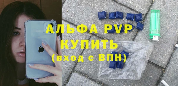 стафф Вяземский