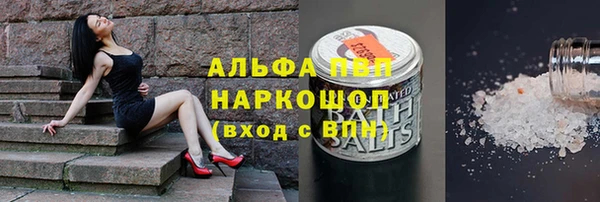 ПСИЛОЦИБИНОВЫЕ ГРИБЫ Вязники