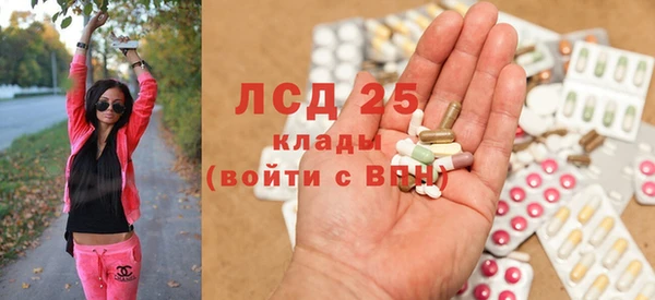 ПСИЛОЦИБИНОВЫЕ ГРИБЫ Вязники