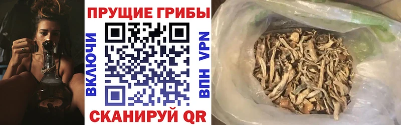 магазин продажи   Петропавловск-Камчатский  Галлюциногенные грибы Magic Shrooms 